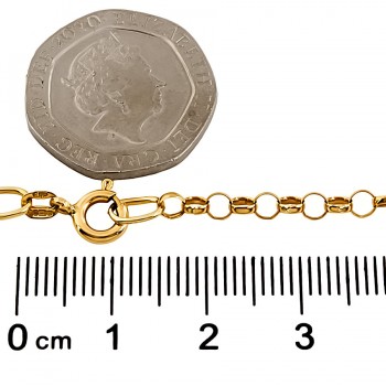 9ct gold 3.9g 17 inch belcher Chain